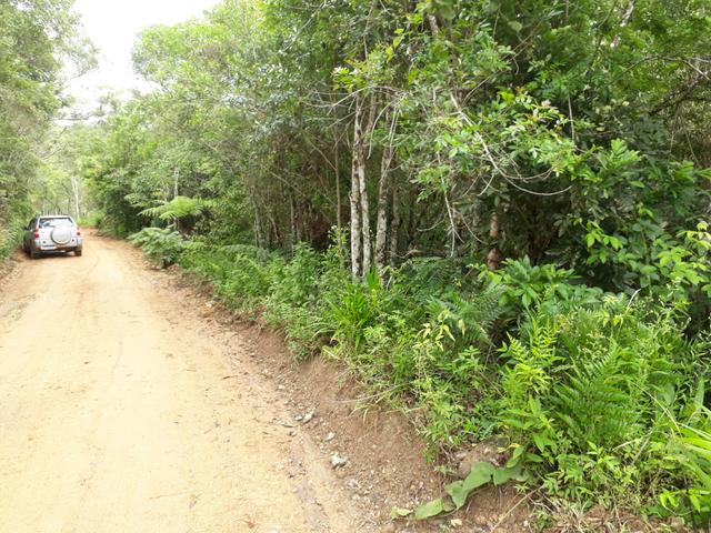 VENDO LINDA CHÁCRINHA DE 2.000m2° NA REPRESA DO CAPIVARI !!! - Foto 3