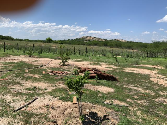 Chácara próximo a Patos - Foto 16