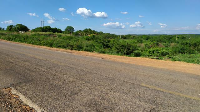 Lotes as margens da PE 430, Excelente localização - Foto 3