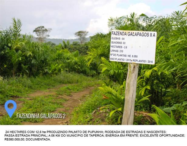 Fazenda Galápagos 2 - 24 Hectares