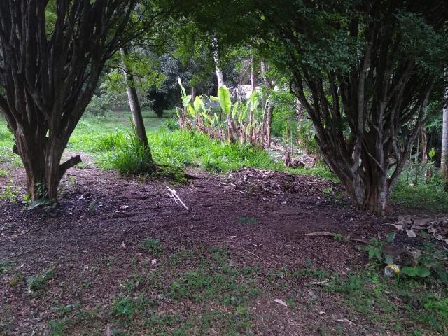 03* Maravilhoso Terreno em Arujá , paraíso da Grande São Paulo - Foto 5