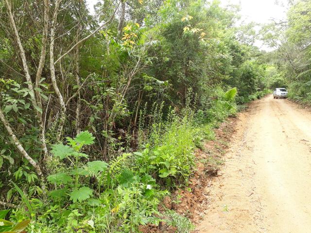 VENDO LINDA CHÁCRINHA DE 2.000m2° NA REPRESA DO CAPIVARI !!! - Foto 12