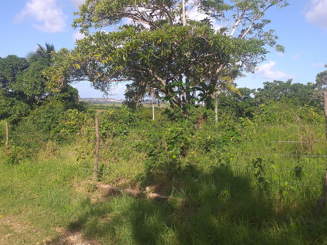 Terreno pra construir sítio ou chácara - Foto 2