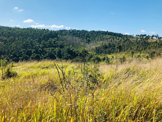 Sítios 1000m² bem barato - Foto 7