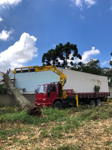 Munck fretes  - Foto 2