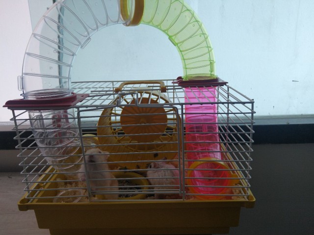 Vendo casas de Hamsters 