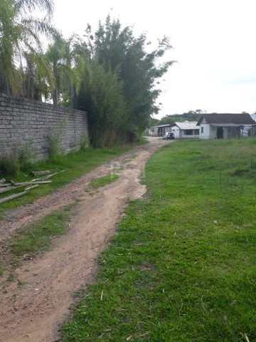 Area em Campo Novo