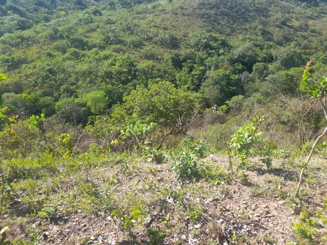 Fazenda DF Goiás Planaltina Reserva
