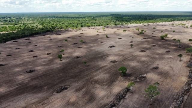 Fazenda de 646 alqueires em Araguaína-MT - Foto 5