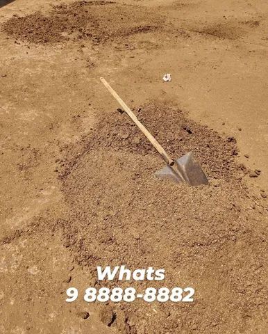 Esterco Bovino (Entrego com Taxa) - Foto 2