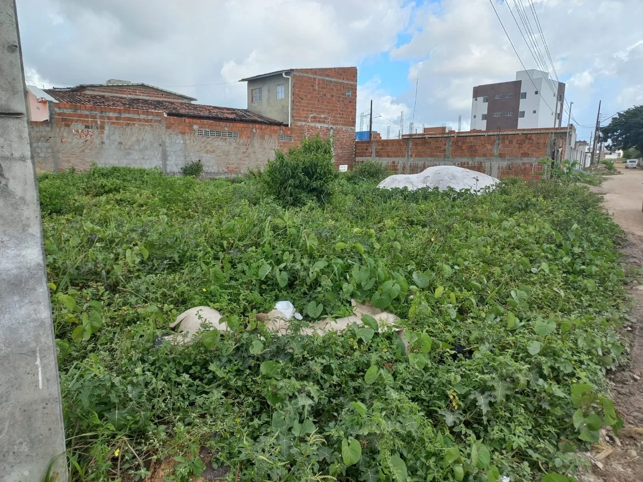 Terreno em ótima localização!