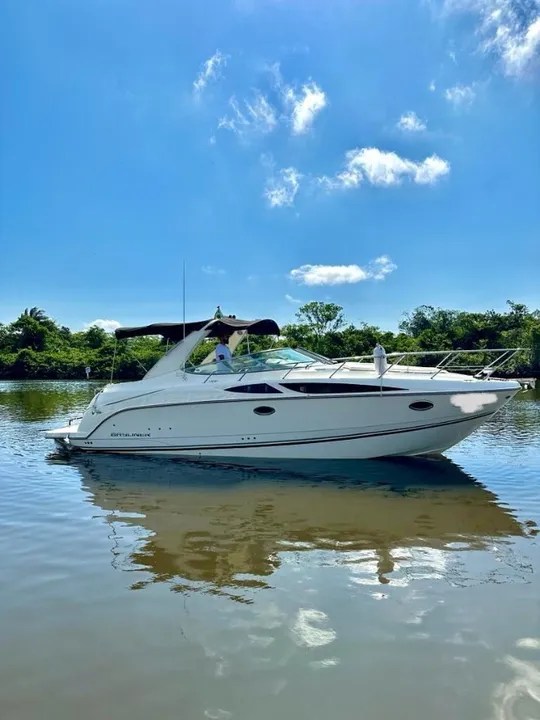 Lancha Bayliner 350 2015 Nx Boats Phantom Focker Schaefer