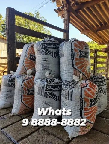 Esterco Bovino (Entrego com Taxa) - Foto 4