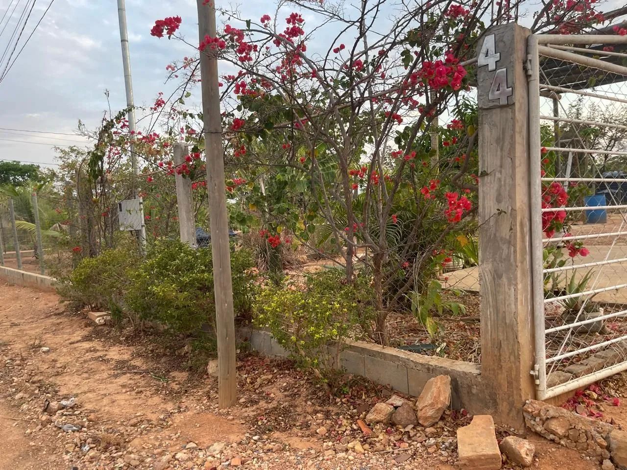 VENDO Chácara com CASA NOVA e acesso TOTALMENTE ASFALTADO  - Foto 11