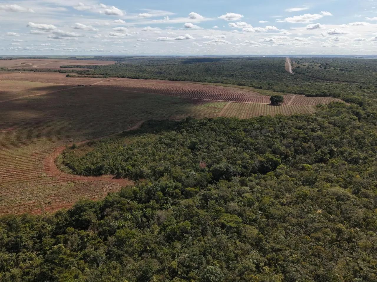 Fazenda de arrendamento 600hec em Canarana MT. - Foto 11