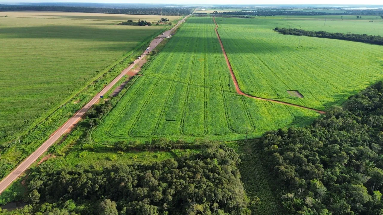 Fazenda arrendamento 9.700hec plantando em Juara MT.