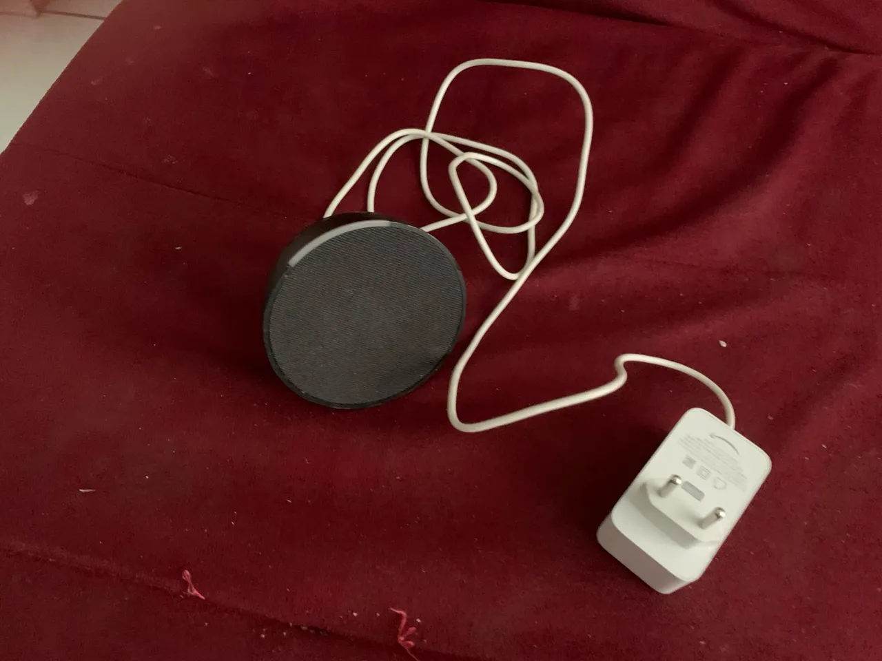 Alexa Echo Pop