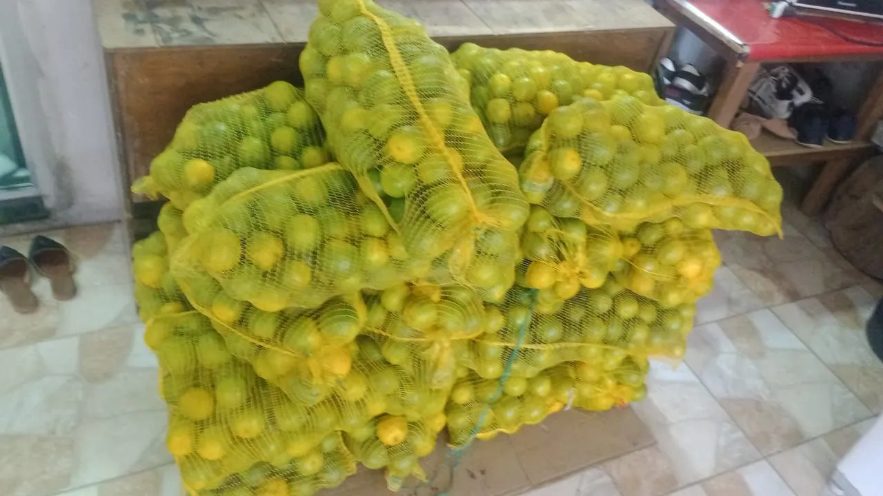 Laranjas de Rio Preto da Eva