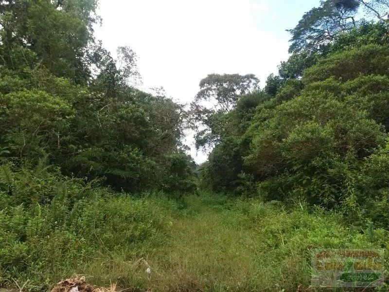 Terreno a Venda no bairro Guaraú Garça Vermelha em Peruíbe/SP
