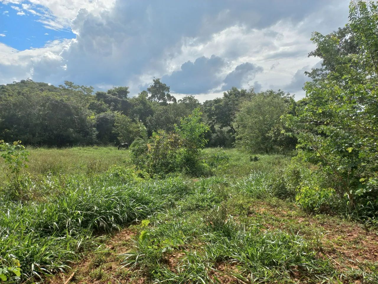 Terreno 40 hectares em Funilândia MG  - Foto 3
