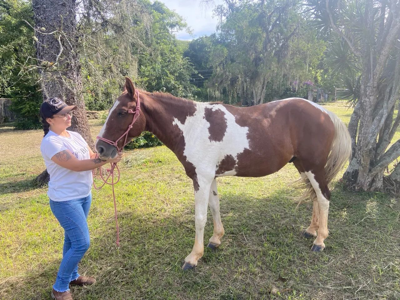Cavalo pampa marcha picada  - Foto 2