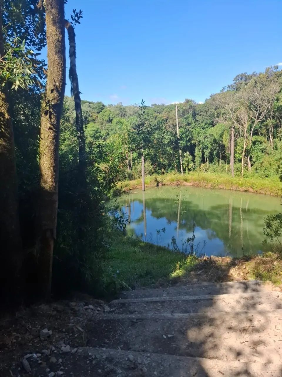 Foto - São José dos Pinhais - Área Rural de São José dos Pinhais