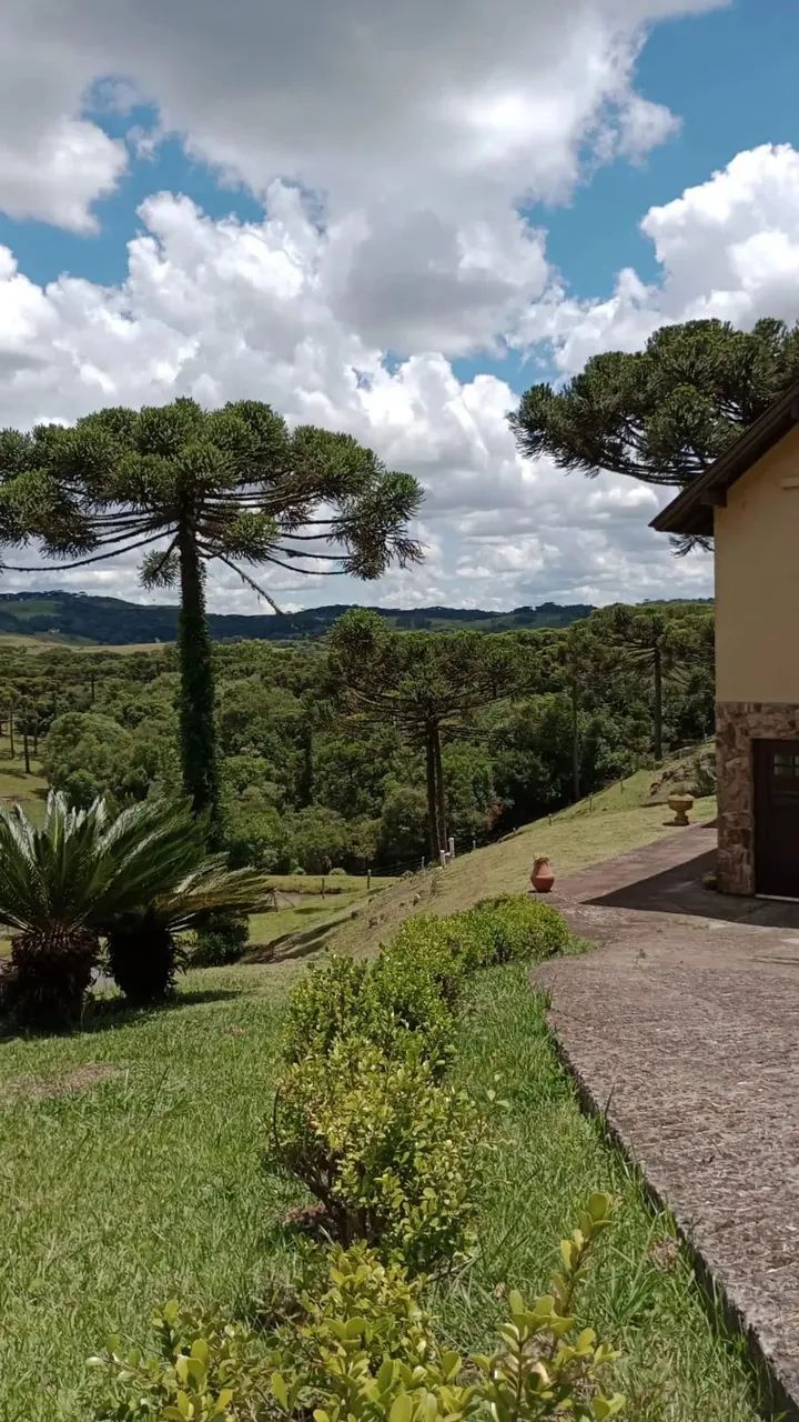 Magnifica Chacara 25km de Caxias - Foto 5