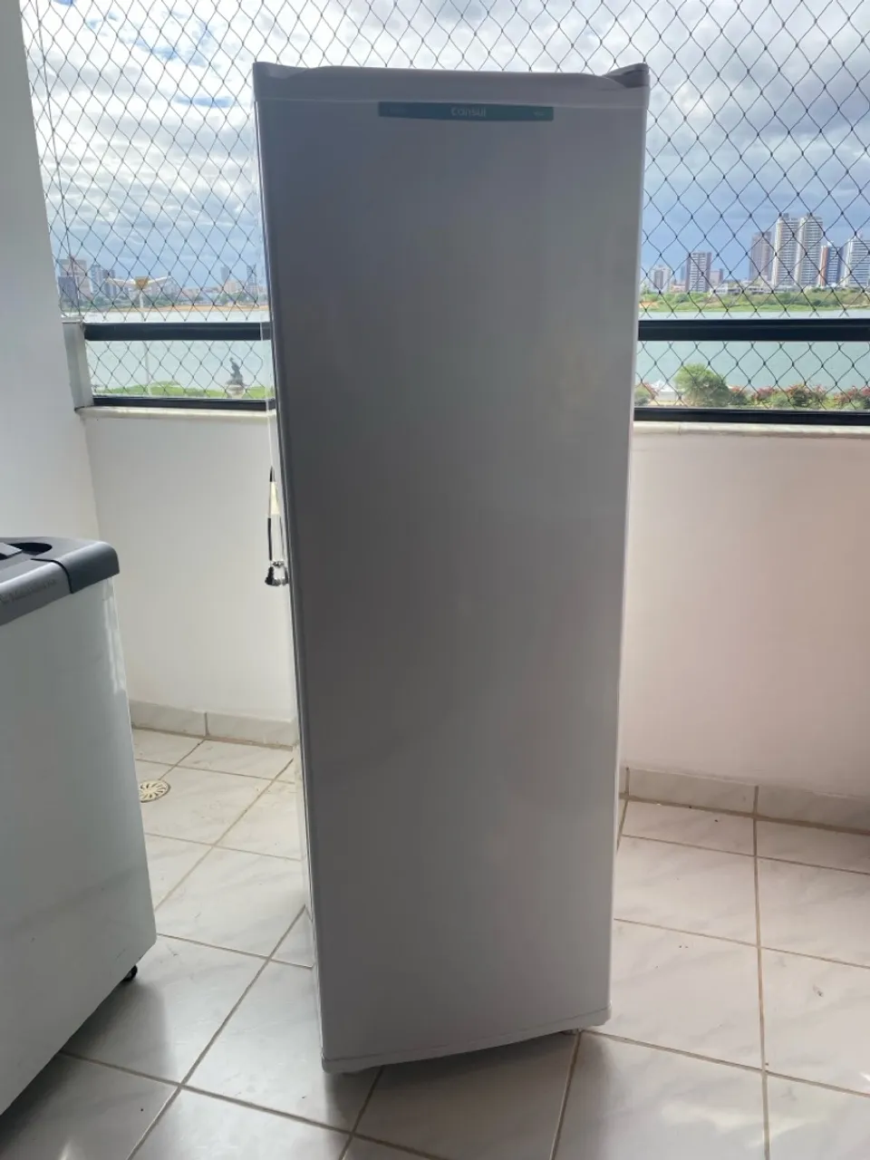 Freezer Vertical Consul