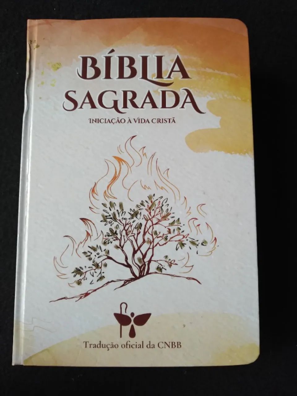 Livro, Bíblia  Sagrada 