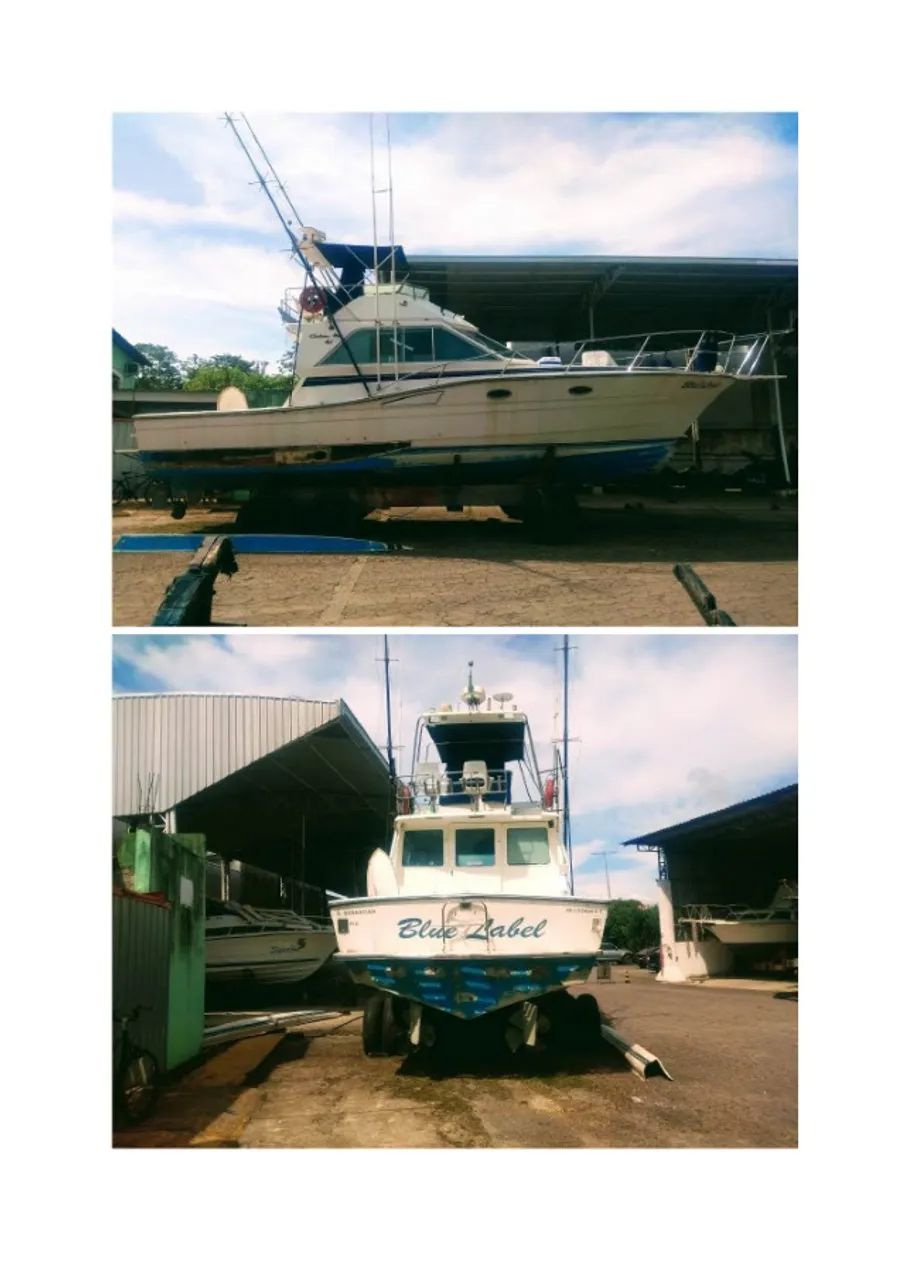 Lancha Carbrasmar 41