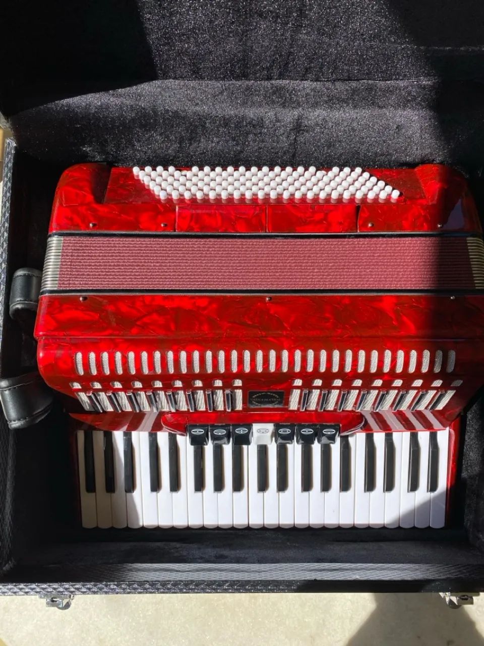 Sanfona/Acordeon Prowinds 120 Baixos - Foto 5