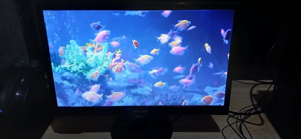 Monitor Philips 193v5l Preto VGA 18.5"