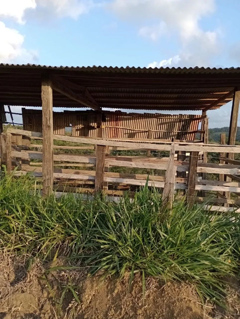 Vendo excelente sítio em Valença Bahia  - Foto 3