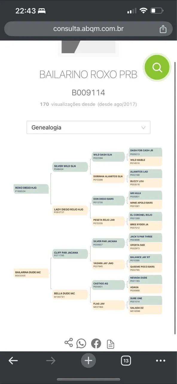 Cavalo quando de milha PC - Foto 5