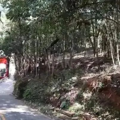 Lote em Condomínio à venda, Estância Serrana - Nova Lima/MG - Foto 12