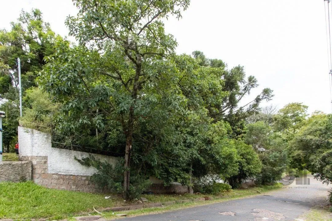 Terreno, 363.78 m², em Vila Conceição, em região elevada e livre de inundações