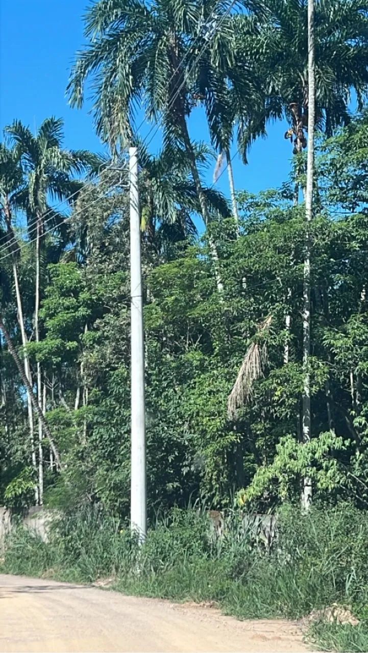 Venda de chácara - Foto 2