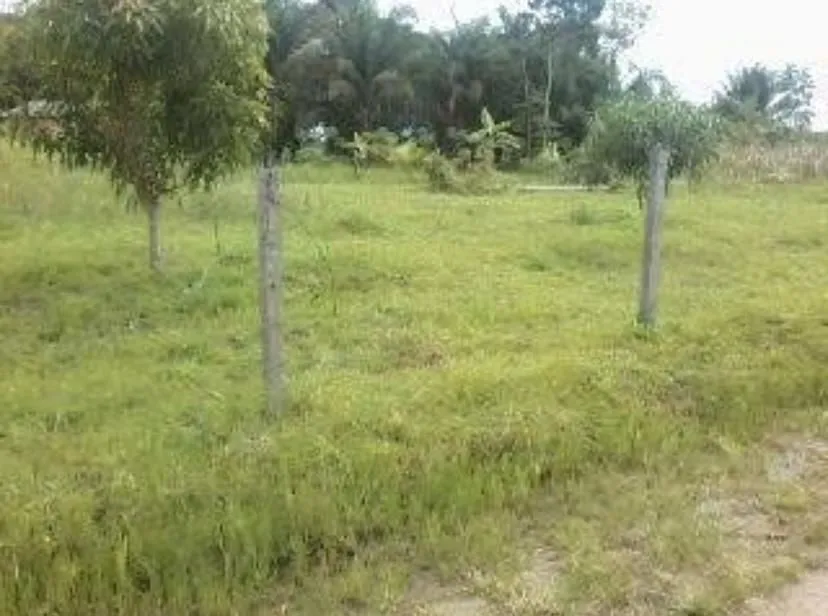 Terreno medindo 50 X 120