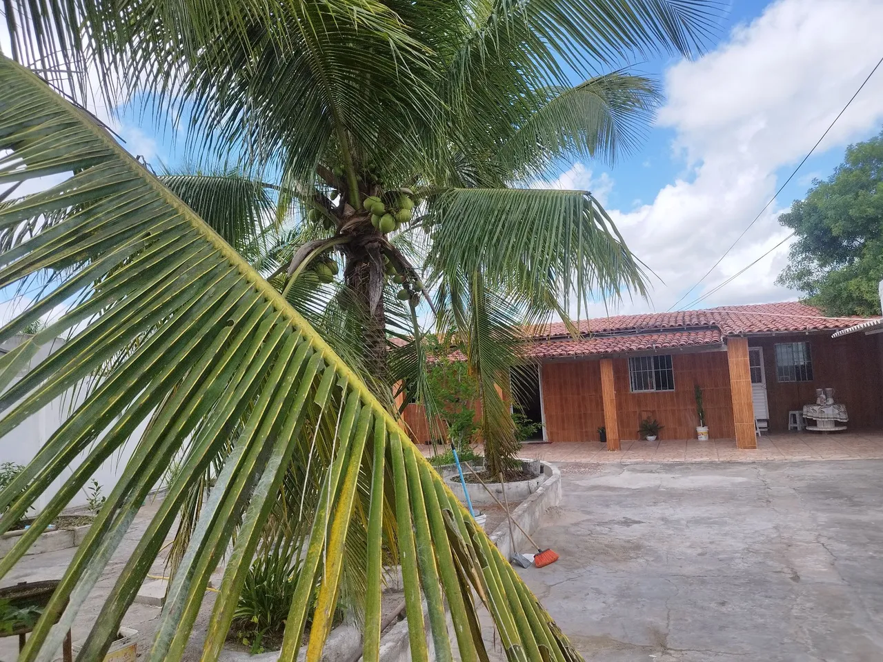 Sítio com casa e área verde
