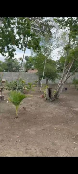 Vendo essa chácara  - Foto 7