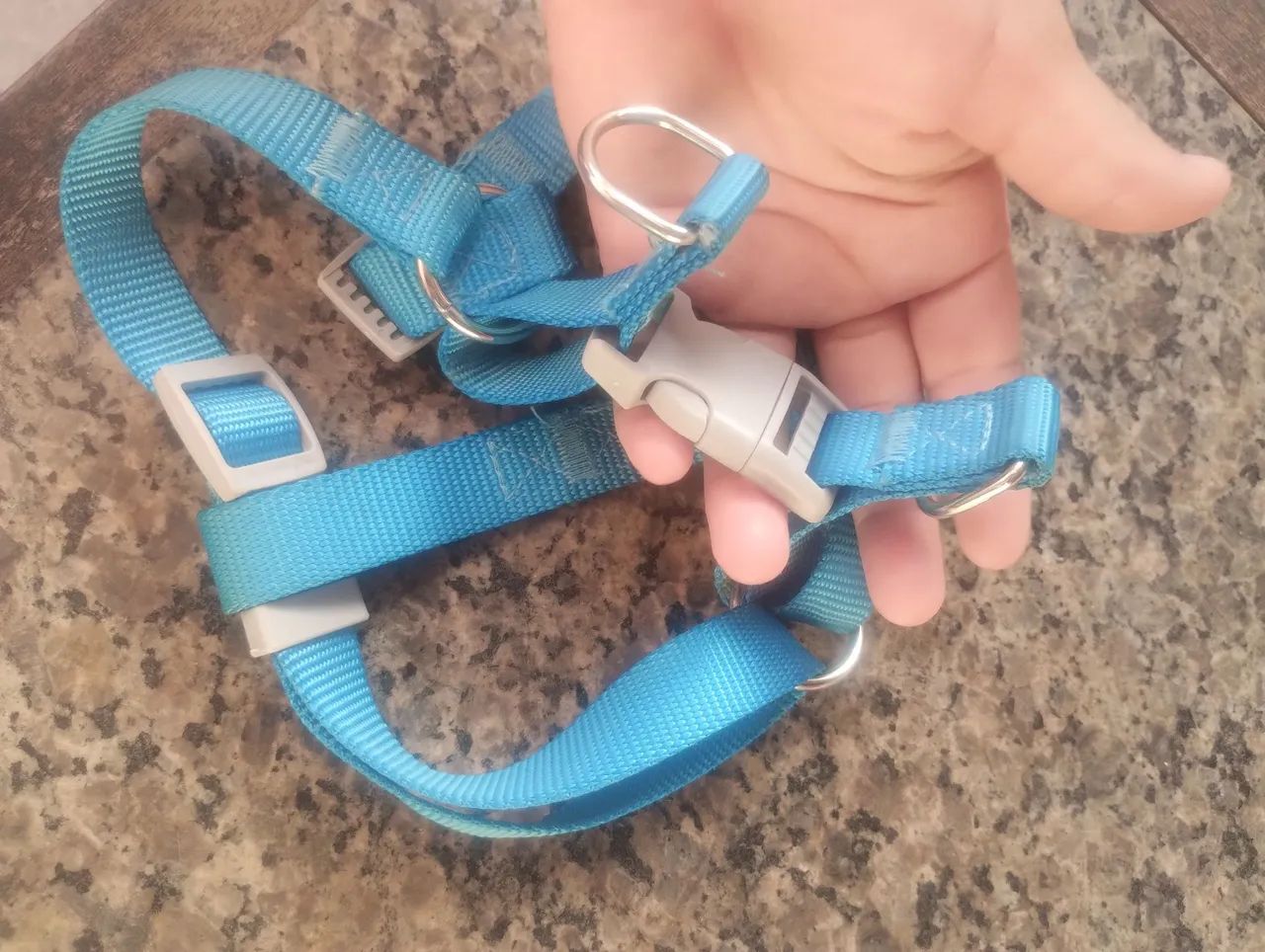 Coleira de pet - Foto 2