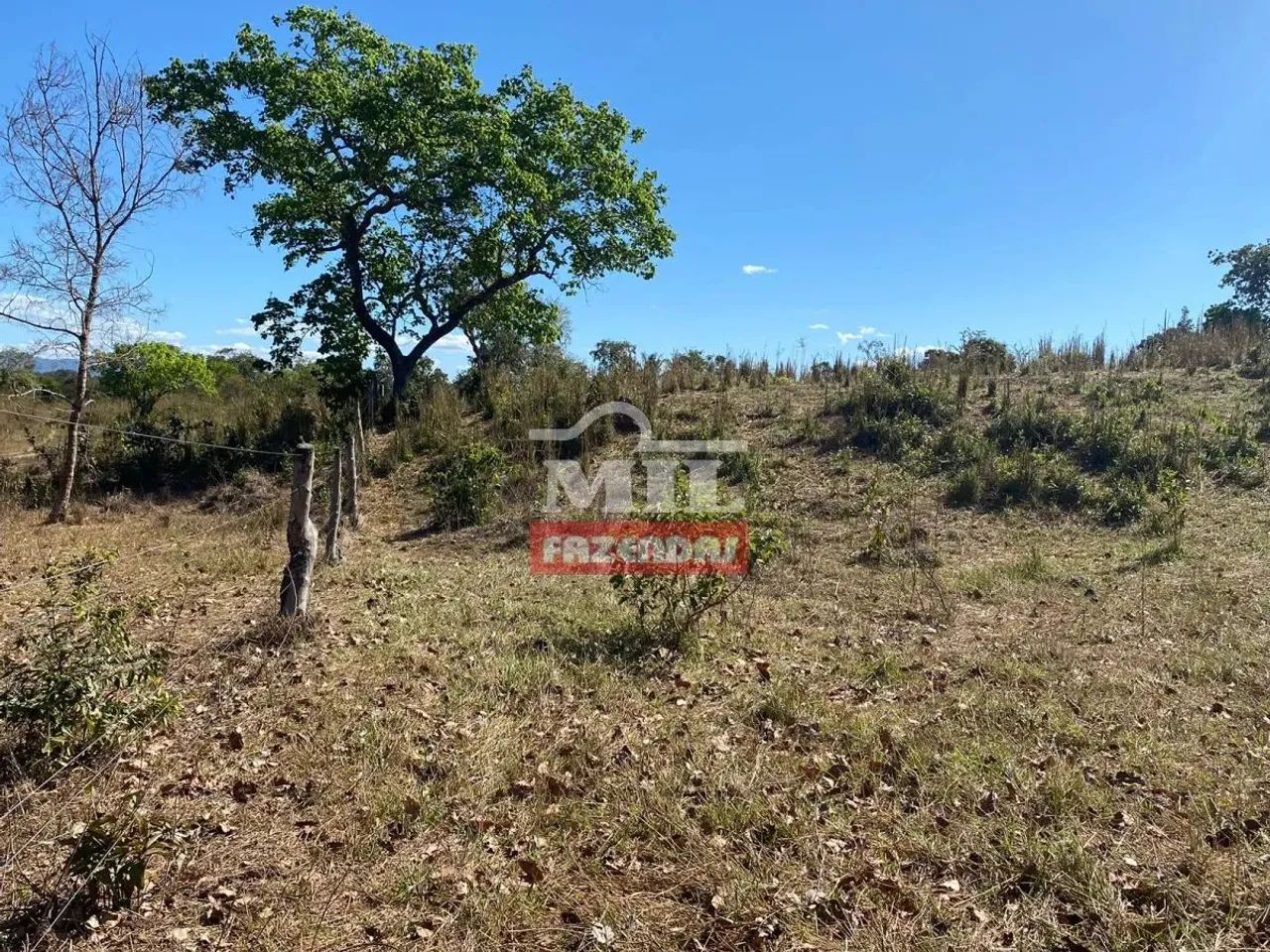Fazenda 135 Alqueires (653 Hectares) Paranã - TO - Foto 2