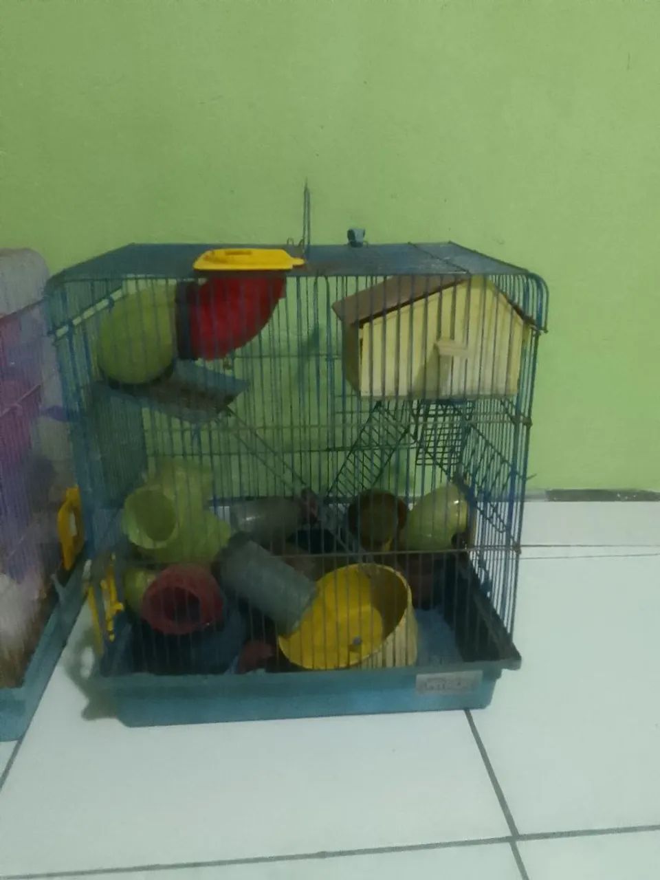 Duas Gaiola para roedores pequenos