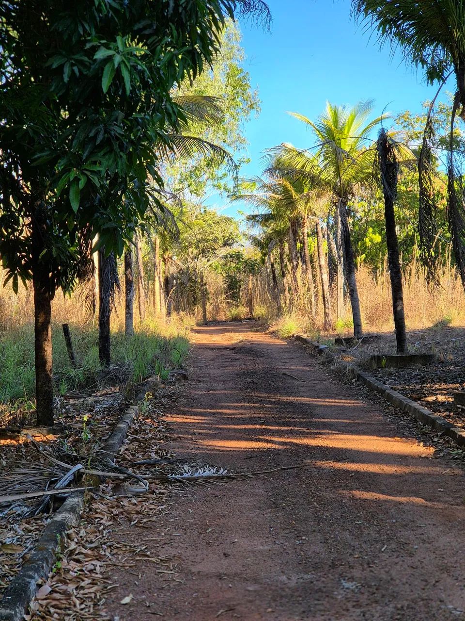 Excelente Lote - Próximo Rodoviária - TO - 050  - Foto 3