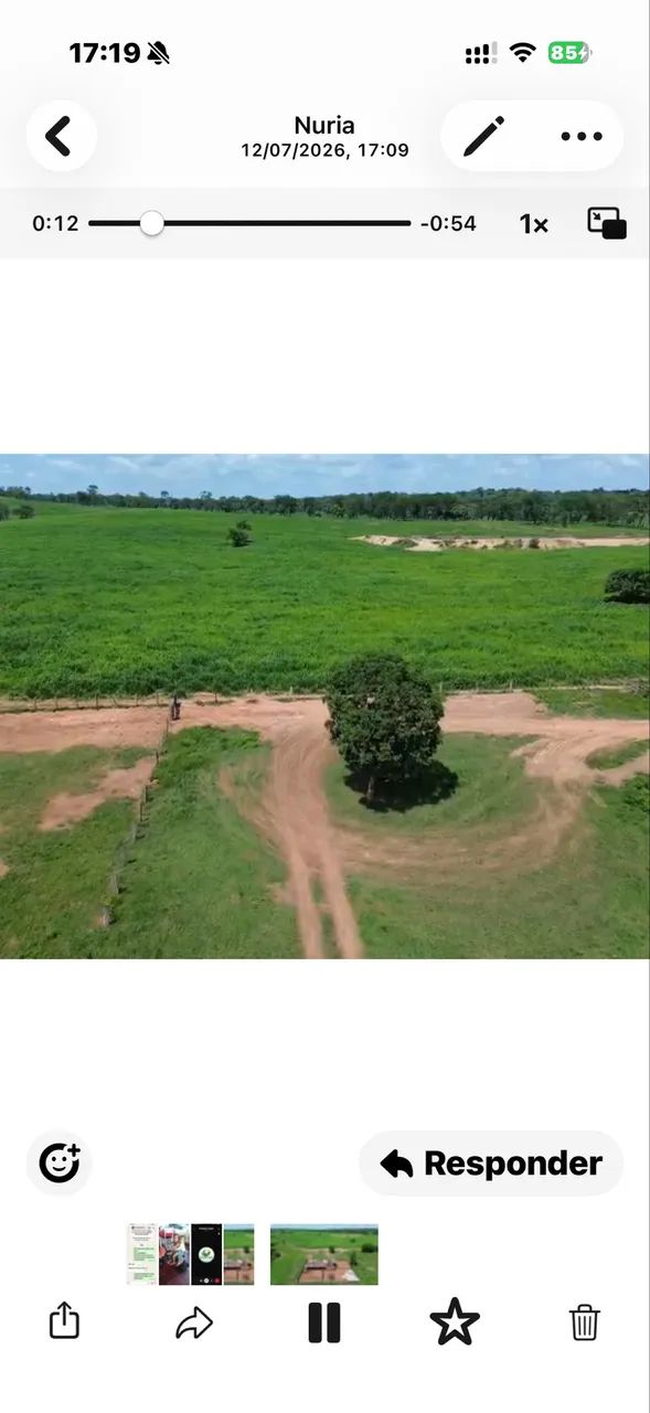 Faz 204 Alq 150 Alq de Pasto sem Pedras  - Foto 3