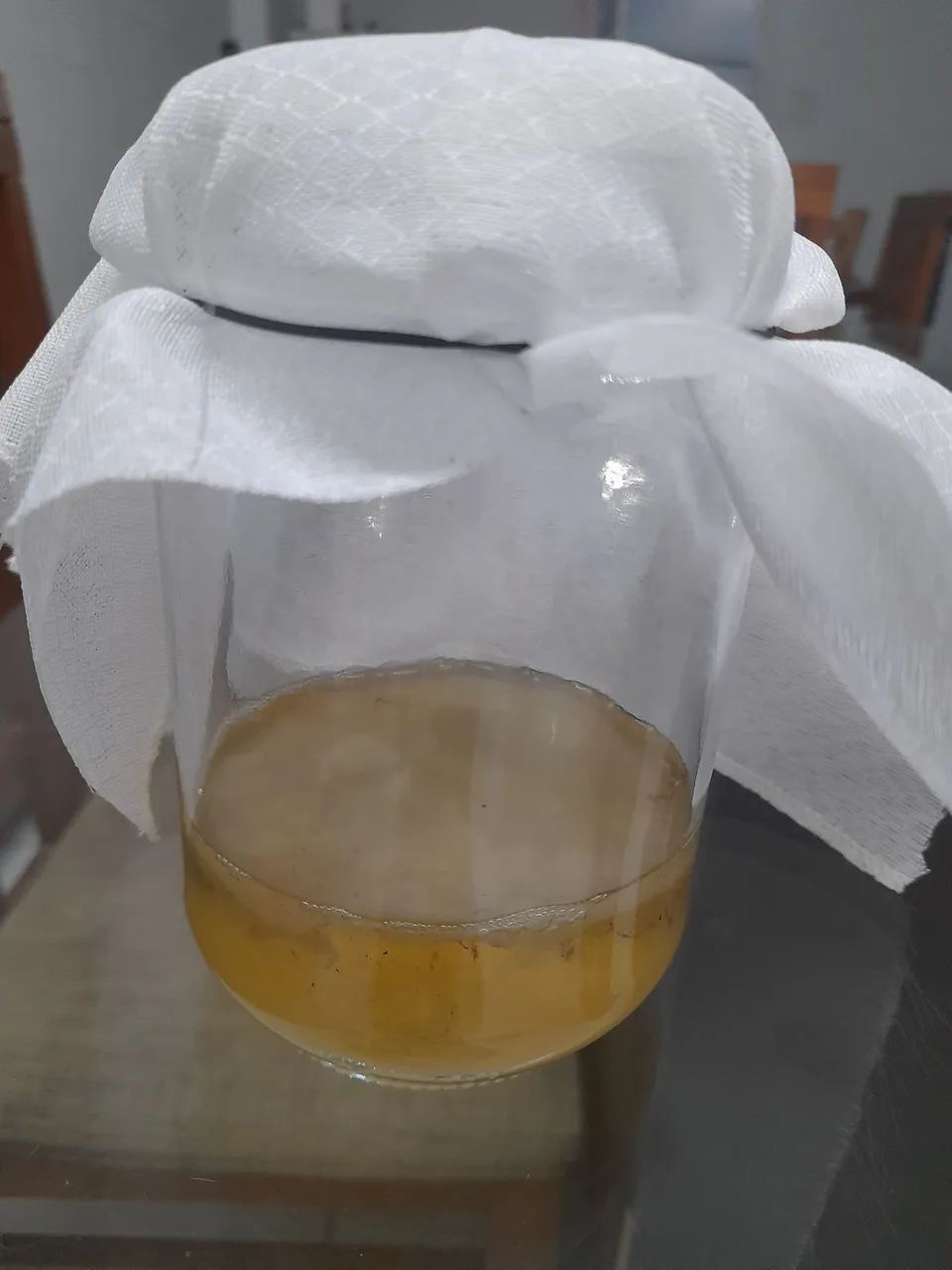 Scooby de kombucha 