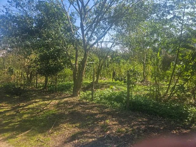 TERRENO EM GUAPIMIRIM  - Foto 5