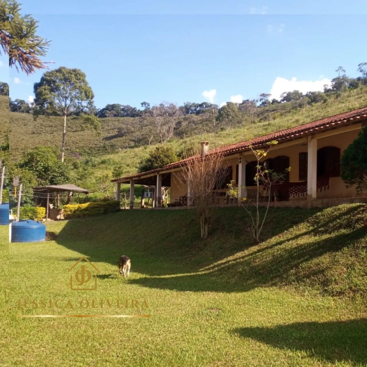 Sítio à Venda em Olaria- MG  - Foto 3