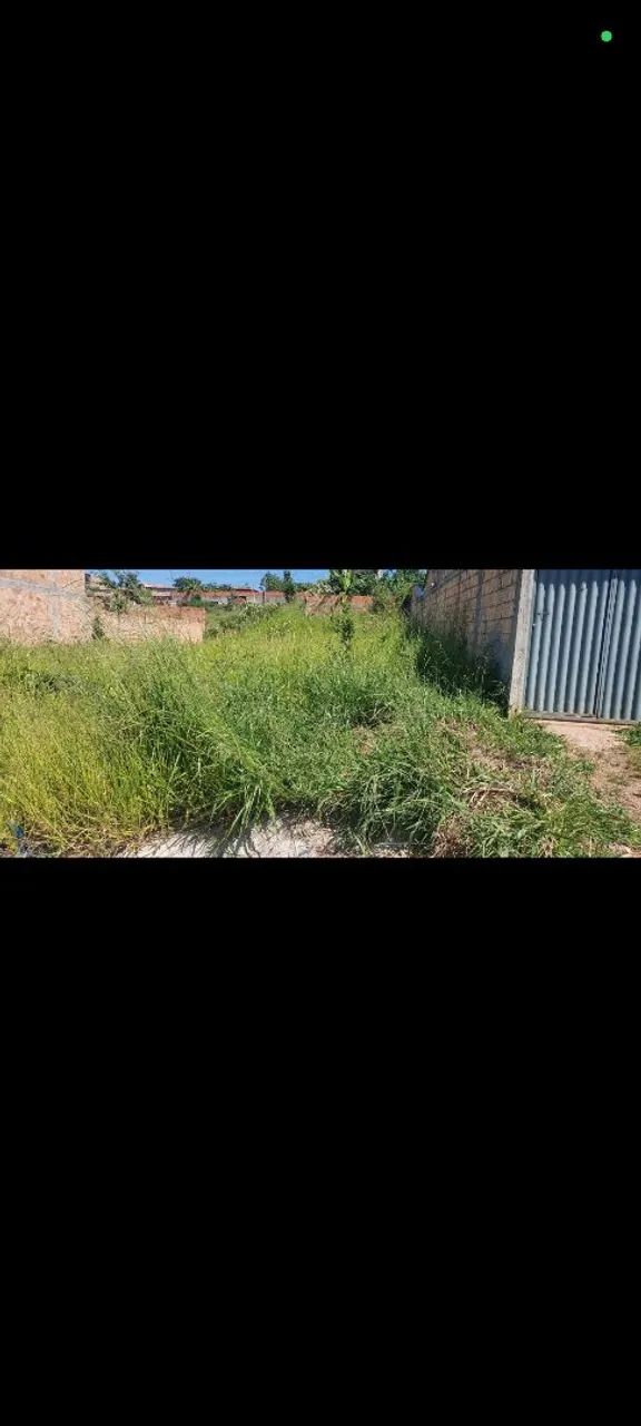 Lote  - Foto 3