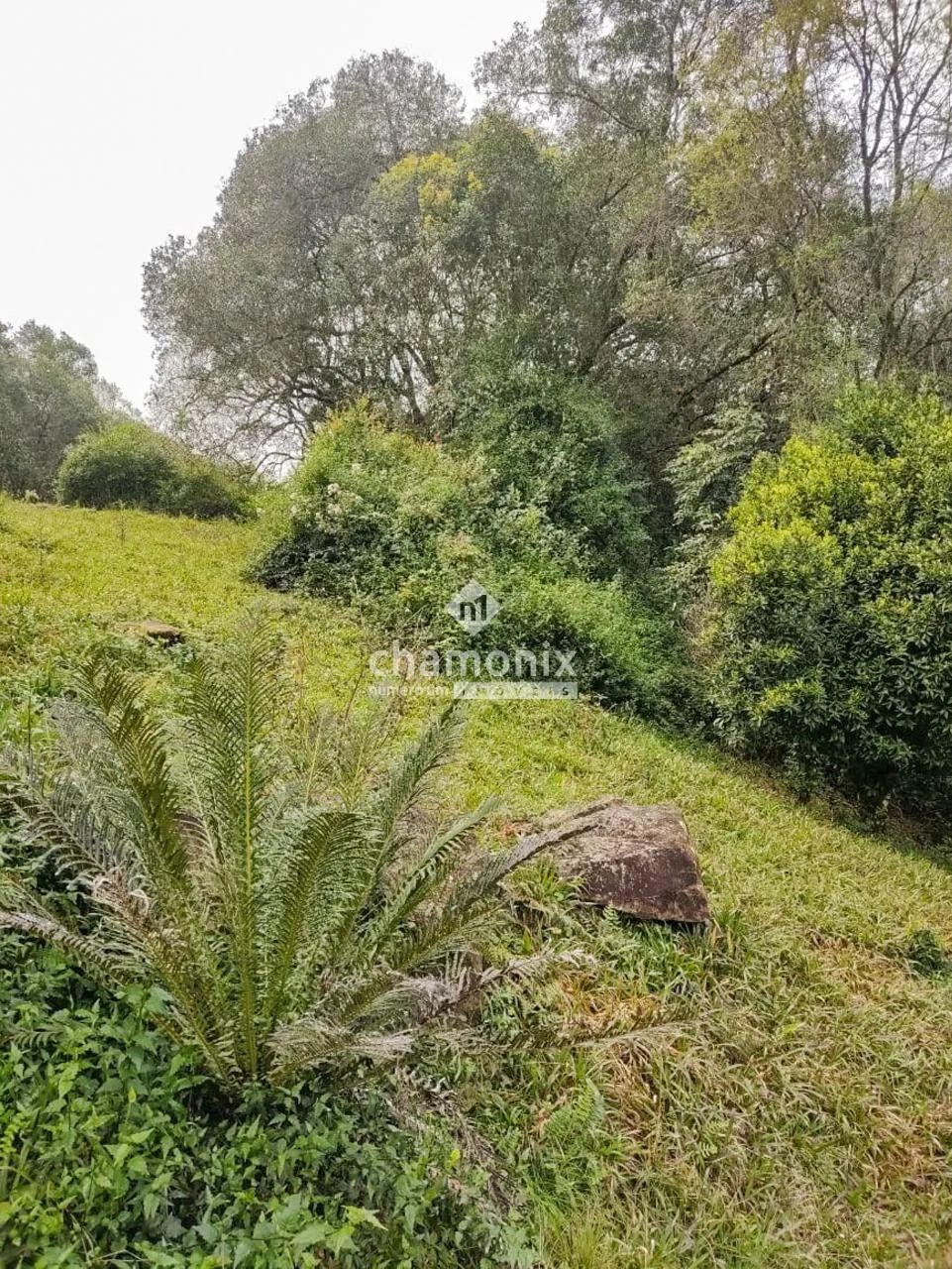 Chácara em Nova Pádua - Foto 5